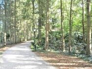 Für Naturliebhaber! Großzügiges, freistehendes EFH auf sehr großem Wald-Grundstück mit Bäumen+Rhododendren, Teich, etc., Doppelgarage + Carport - Sottrum
