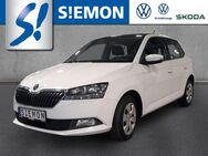 Skoda Fabia, 1.0 MPI Active, Jahr 2019 - Münster