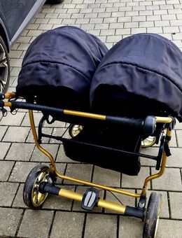 Zwillingskinderwagen Geschwisterkinderwagen 3 in 1 - Nordhorn