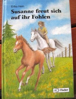 Schöne Pferdegeschichte „Susanne freut sich auf ihr Fohlen“ von Erika Hein in sehr gutem Zustand, Fischer Verlag, empfohlen für Mädchen ab 10 Jahren, 174 Seiten, stammt aus 1991, ISBN: 3439888223, zum Schutz für weiteren Gebrauch schon eingebunden, 4,- € - Unterleinleiter