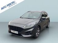 Ford Kuga, 2.0 EcoBlue Hybrid ST-LINE X, Jahr 2021 - Bingen (Rhein)