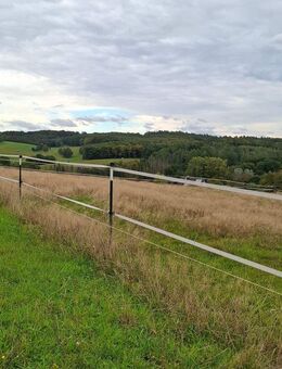 Pferdehaltung und mehr: Umfassend saniertes Bauernhaus mit Nebengebäuden und 3,54 ha Eigenland! - Gieleroth