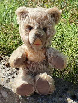 Antiker "Zotty" Steiff Teddybär, 1951 - 1978 - Köln