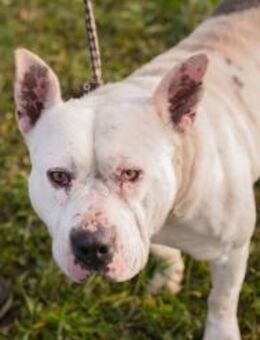 ARIAN - ich hätte so gern eine Familie - Overath