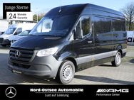 Mercedes Sprinter, 3.5 317 L2H2 t, Jahr 2023 - Heide