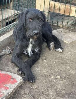 SKY ❤ eilig - Langenhagen