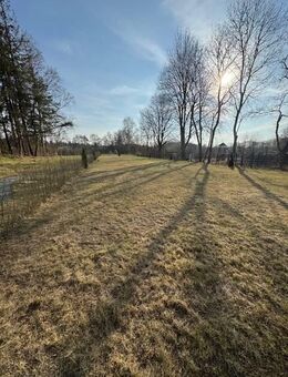 Wohnung mit Haus-Charakter 4 Zimmer - Kiel