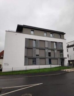 modernes 1-Zimmer-Appartment in zentraler Lage - Petersberg (Hessen)