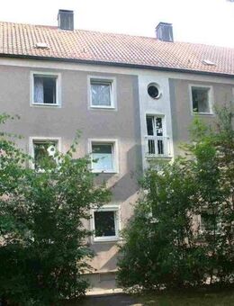 Nachmieter gesucht! 2-Zimmer-Wohnung ab Mitte Dezember verfügbar! - Amberg