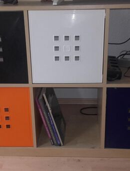 Lekman Flexi Türen für Ikea Kallax / Expedit - Göttingen