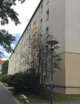Striesen: 2-Zimmerwohnung im Erdgeschoß - Dresden