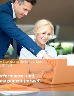 Experte Performance- und Projektmanagement (m/w/d) - Schkopau