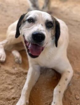 Nils wartet noch immer - Bad Vilbel