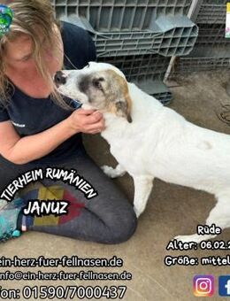 JANUZ-endlich gibt es was zu essen!!! - Waakirchen