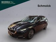 Skoda Octavia, 1.5 TSI Combi Ambition, Jahr 2024 - Emmendingen