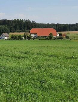 20 Minuten/Bodensee - Landhaus Höchstes Niveau - Alleinlage - Platzwunder - Sauldorf