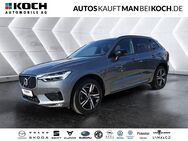 Volvo XC60, B4 AWD R-Design MHybri H&K, Jahr 2019 - Berlin