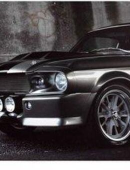 Reinders! Poster Ford Easton Mustang GT500, (1 St)