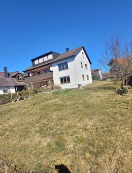 Große, sonnige 4 Zimmer-Wohnung mit überdachten Balkon und ca. 350 qm eigenem Garten! Sofort frei ! - Georgensgmünd