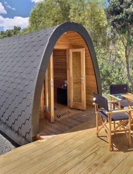 Camping POD Glamping isoliert L300 B240cm Kiefer - Rietberg