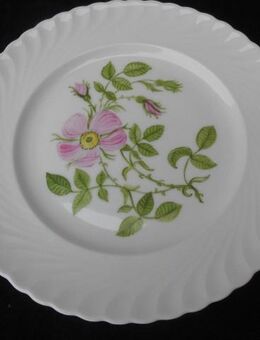 Fürstenberg Porzellan Kuchenteller mit Griffen+Royal Tettau Teller Annette 19,5 cm mit Porzellanmalerei Blumen rosa grün zus. 9,- Vintage Retro - Flensburg