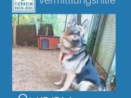 SUNNY - Familienleben neu kennenlernen - Overath