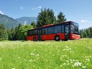 Furtwangen | Schonach | Busfahrer:in | SBG Deutsche Bahn - Furtwangen (Schwarzwald) Zentrum