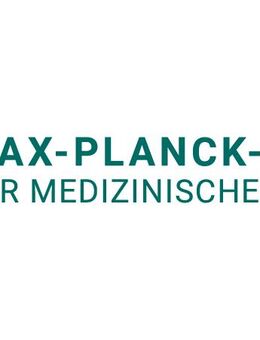 Fachinformatiker*in für Systemintegration - Heidelberg