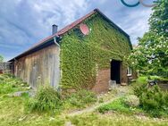 Kernsanierter Resthof zentral in Erichshagen / großzügiges Platzangebot / großer Garten / Scheunen - Nienburg (Weser)