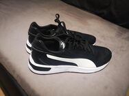 PUMA Taper Sl Sneaker Größe 48,5 - Düsseldorf