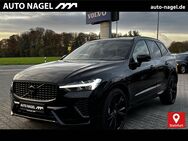 Volvo XC60, Recharge T6 Plus Black Edition °||, Jahr 2024 - Steinfurt