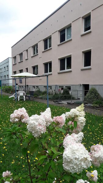 Kapitalanleger aufgepasst!!! Zwei Wohnblocks in grüner Lage OT Klieken/Coswig zu verkaufen!!!