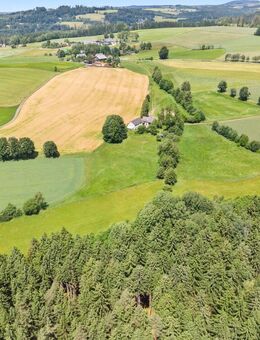 Idyllisches Pferdeanwesen in Alleinlage auf 2,7 ha zu verkaufen - Marktleugast