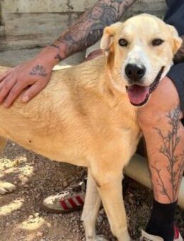 Anthos - wunderschön und voller Liebe - Mettmann