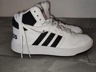 Adidas Basketball Schuhe Gr.39 - Mölln (Schleswig-Holstein)