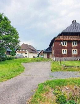 Schwarzwaldidyll mit Denkmalschutz! Tierhaltung möglich! - Bernau (Schwarzwald)