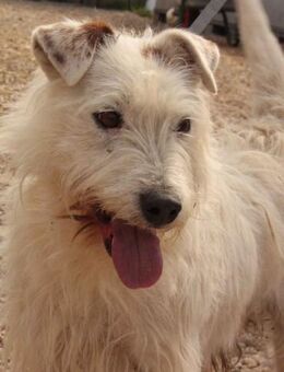 Pötyi-VA, hätte gerne eine Familie - Neustadt (Rübenberge)