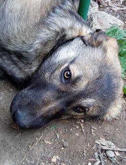 Die hübsche Manita sucht ihr Glück! - Beltheim