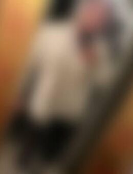 Tho*** - Heidenheim (Brenz)