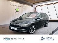 Skoda Octavia, 2.0 TDI Combi 18 Rüfa pACC, Jahr 2024 - Idar-Oberstein