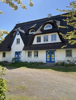 Ruhige Ferienwohnung am Ostseedeich - Zingst (Ostseebad)