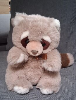 Niedlicher Waschbär / Plüschtier - Görlitz