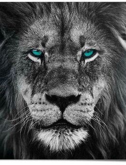 Reinders! Poster Löwe