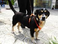 LUFY - Ratingen