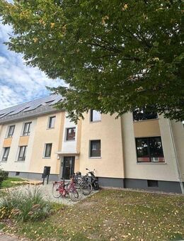 Hier kommt man gerne nach Hause! - Braunschweig