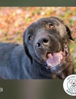 Hallo, ich bin Iska - Kirchzell