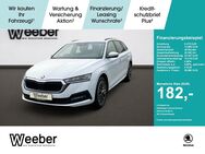 Skoda Octavia, 1.5 TSI Combi Ambition V, Jahr 2024 - Calw