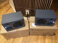 Neumann KH 310 Studio Monitors - Luzern