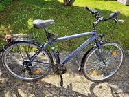 Zündapp Trekking-Bike Herren 28er - Zolling