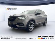 Opel Grandland X, 1.2 8 Ultimate, Jahr 2019 - Gummersbach